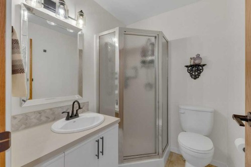 4702 57 Ave, Rimbey, AB - Indoor Photo Showing Bathroom
