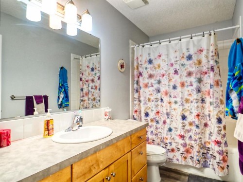 210 Bradford Crescent South, Three Hills, AB - Indoor Photo Showing Bathroom