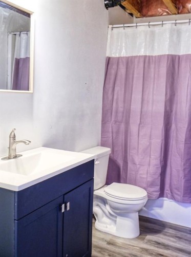 210 Bradford Crescent South, Three Hills, AB - Indoor Photo Showing Bathroom