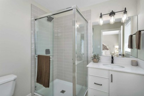 206 Cambridge Way, Sylvan Lake, AB - Indoor Photo Showing Bathroom