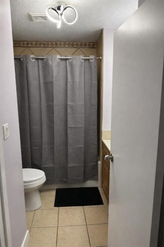 702 Royal Drive, Trochu, AB - Indoor Photo Showing Bathroom