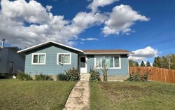 702 Royal Drive Trochu, AB T0M 2C0