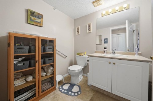 330-56 Carroll Crescent, Red Deer, AB - Indoor Photo Showing Bathroom