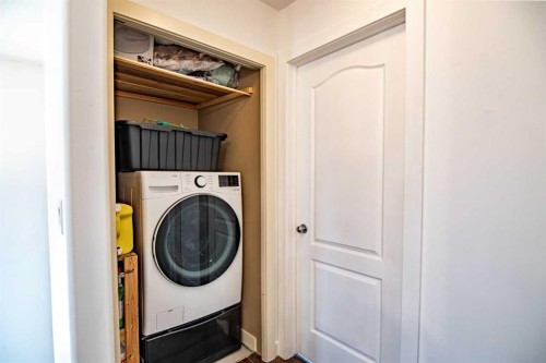 172 Ibbotson Close, Red Deer, AB - Indoor Photo Showing Laundry Room