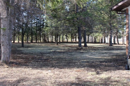 1250 343A Township, Bowden, AB 