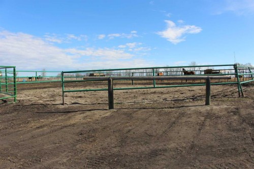 1250 343A Township, Bowden, AB 