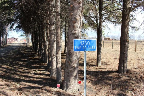 1250 343A Township, Bowden, AB 
