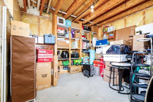 49 Kirkland Drive, Red Deer, AB - Indoor Photo Showing Basement