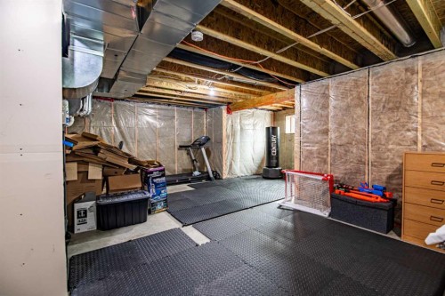 22 Caribou Crescent, Red Deer, AB - Indoor Photo Showing Basement