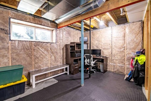 22 Caribou Crescent, Red Deer, AB - Indoor Photo Showing Basement