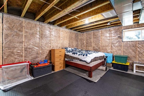 22 Caribou Crescent, Red Deer, AB - Indoor Photo Showing Basement