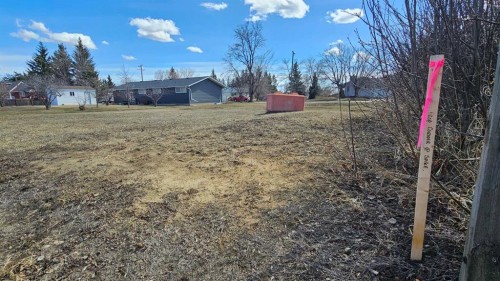 4946 Parkview Crescent, Castor, AB 