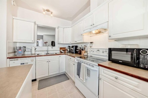 69 Abel Close, Red Deer, AB - Indoor Photo Showing Kitchen With Double Sink