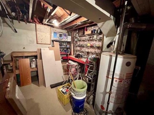 4702 49Th Street, Bashaw, AB - Indoor Photo Showing Basement