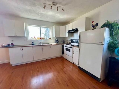 4702 49Th Street, Bashaw, AB - Indoor Photo Showing Kitchen