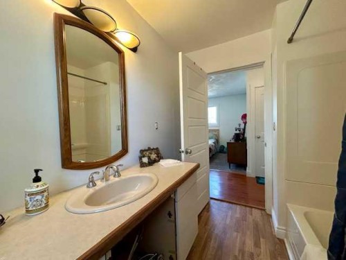 4702 49Th Street, Bashaw, AB - Indoor Photo Showing Bathroom
