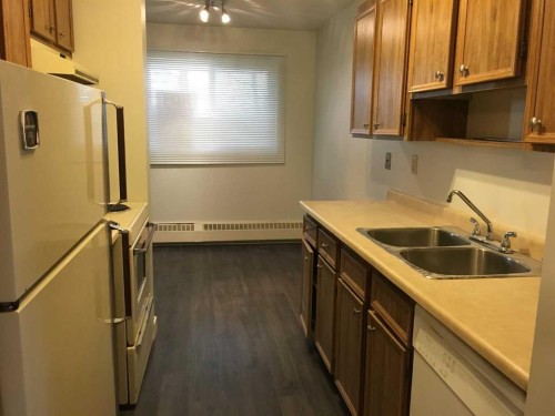 302-27 Bennett Street, Red Deer, AB - Indoor Photo Showing Kitchen With Double Sink