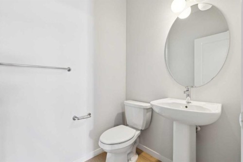 259 Chelsea Road, Chestermere, AB - Indoor Photo Showing Bathroom