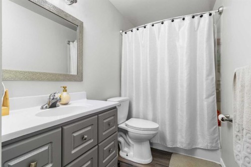 39 Cedar Crescent, Lacombe, AB - Indoor Photo Showing Bathroom