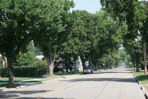 3512 43 Avenue, Red Deer, AB 
