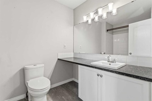 344 Drummond Avenue, Red Deer, AB - Indoor Photo Showing Bathroom