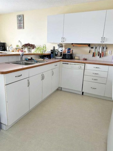 4804 Landsdown Avenue, Blackfalds, AB - Indoor Photo Showing Kitchen With Double Sink