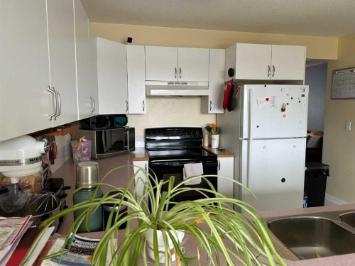 4804 Landsdown Avenue, Blackfalds, AB - Indoor Photo Showing Kitchen With Double Sink