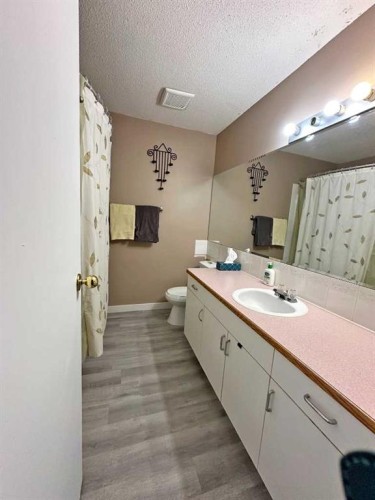4804 Landsdown Avenue, Blackfalds, AB - Indoor Photo Showing Bathroom