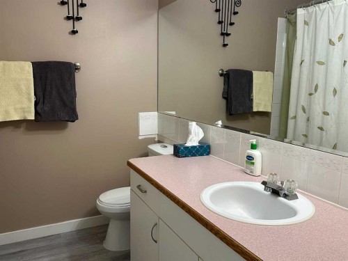 4804 Landsdown Avenue, Blackfalds, AB - Indoor Photo Showing Bathroom