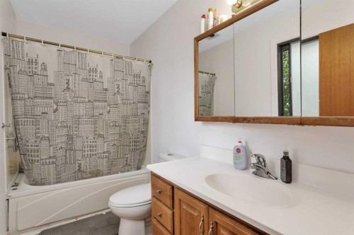 23 Newcombe Crescent, Red Deer, AB - Indoor Photo Showing Bathroom
