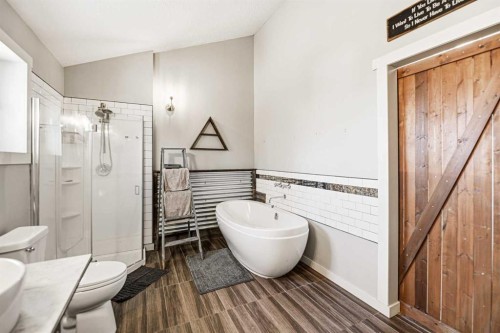 37153 Range Road 30, Rural Red Deer County, AB - Indoor Photo Showing Bathroom