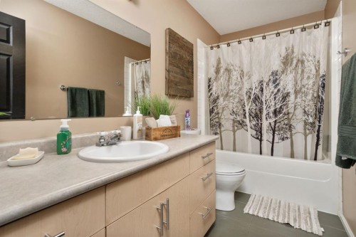 5204 33 Avenue, Camrose, AB - Indoor Photo Showing Bathroom
