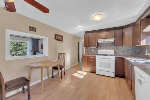 5221 52 Street, Mirror, AB - Indoor Photo Showing Kitchen With Double Sink