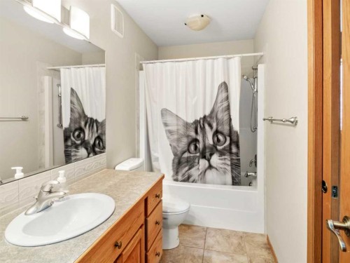 15 Agnew Close, Red Deer, AB - Indoor Photo Showing Bathroom