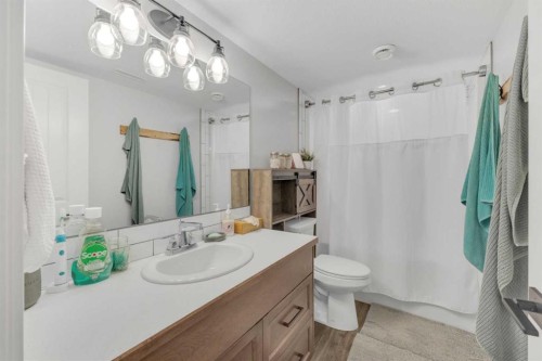 39505 Range Road 252, Rural Lacombe County, AB - Indoor Photo Showing Bathroom