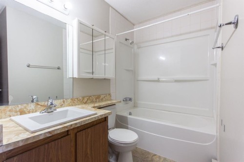 19 Gibson Close, Red Deer, AB - Indoor Photo Showing Bathroom