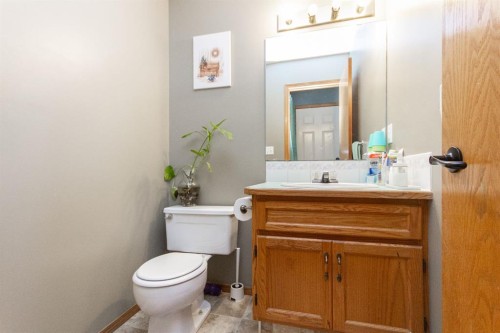 16 Davis Close, Red Deer, AB - Indoor Photo Showing Bathroom