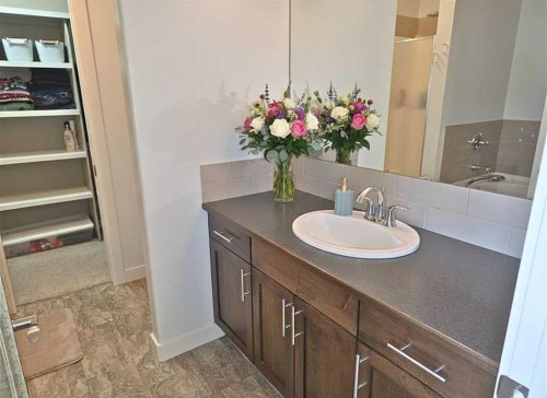 210 Viscount Drive, Red Deer, AB - Indoor Photo Showing Bathroom
