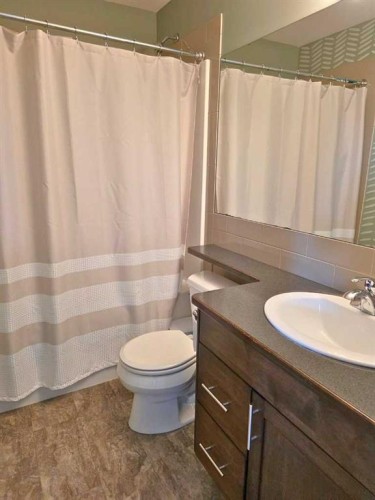 210 Viscount Drive, Red Deer, AB - Indoor Photo Showing Bathroom