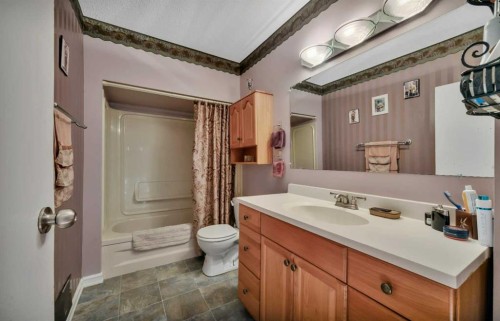 39227 Range Road 250, Rural Lacombe County, AB - Indoor Photo Showing Bathroom