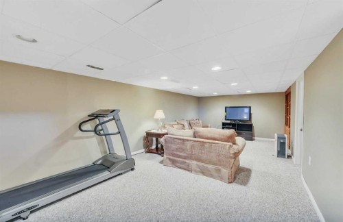 39227 Range Road 250, Rural Lacombe County, AB - Indoor Photo Showing Gym Room