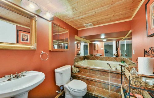 39227 Range Road 250, Rural Lacombe County, AB - Indoor Photo Showing Bathroom