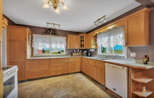 39227 Range Road 250, Rural Lacombe County, AB - Indoor Photo Showing Kitchen With Double Sink
