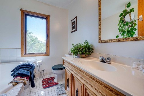 37533 Range Road 241, Rural Red Deer County, AB - Indoor Photo Showing Bathroom