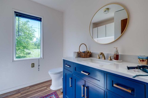 37533 Range Road 241, Rural Red Deer County, AB - Indoor Photo Showing Bathroom