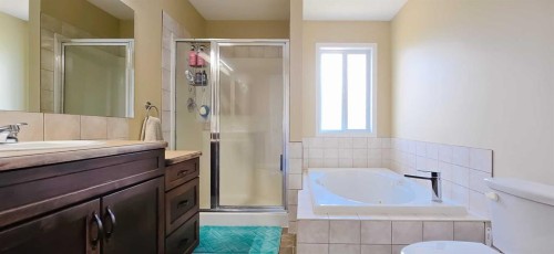 5837 Park Street, Blackfalds, AB - Indoor Photo Showing Bathroom