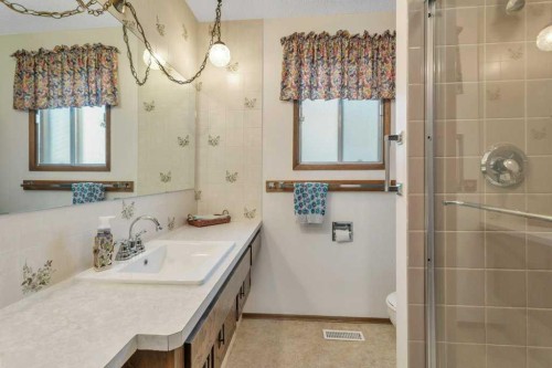 14 Glendale Boulevard, Red Deer, AB - Indoor Photo Showing Bathroom
