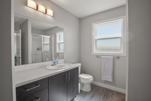 95 Palmer Circle, Blackfalds, AB - Indoor Photo Showing Bathroom