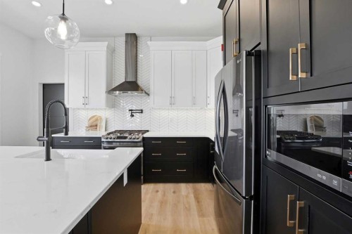 223 Ellington Crescent, Red Deer, AB - Indoor Photo Showing Kitchen With Stainless Steel Kitchen With Upgraded Kitchen