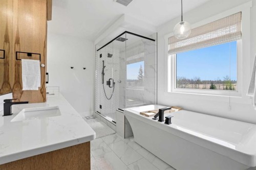 223 Ellington Crescent, Red Deer, AB - Indoor Photo Showing Bathroom